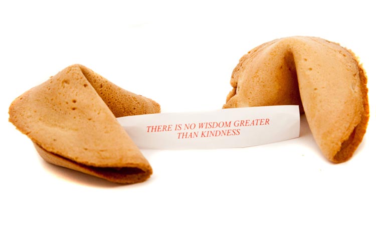 Fortune Cookie Porn